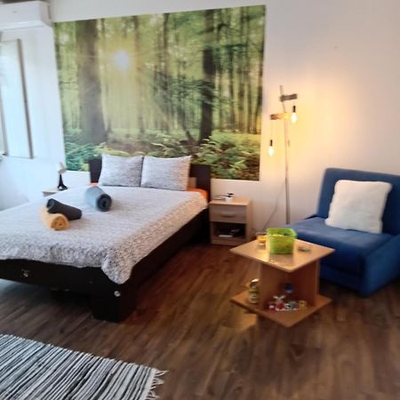 Car Lazar Apartment Белград Екстериор снимка