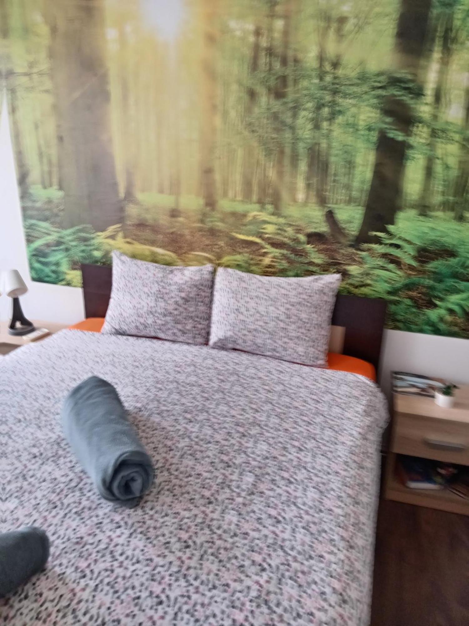 Car Lazar Apartment Белград Екстериор снимка